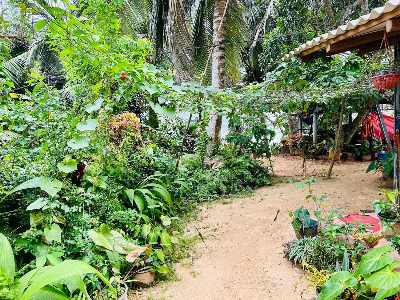 Surf Paradise Tangalle Extérieur photo