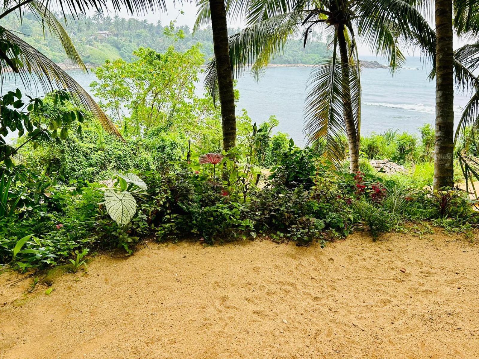 Surf Paradise Tangalle Extérieur photo