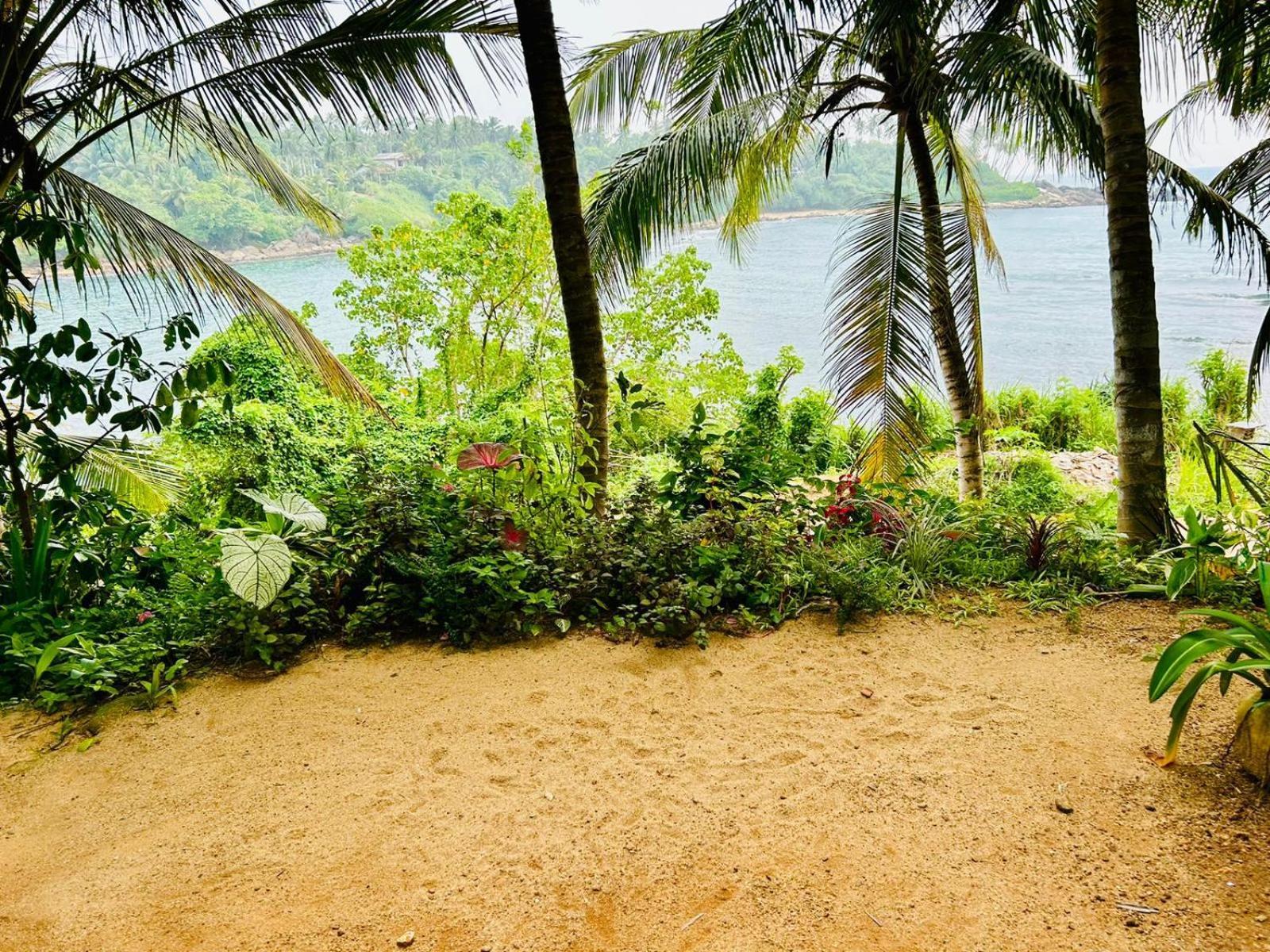 Surf Paradise Tangalle Extérieur photo