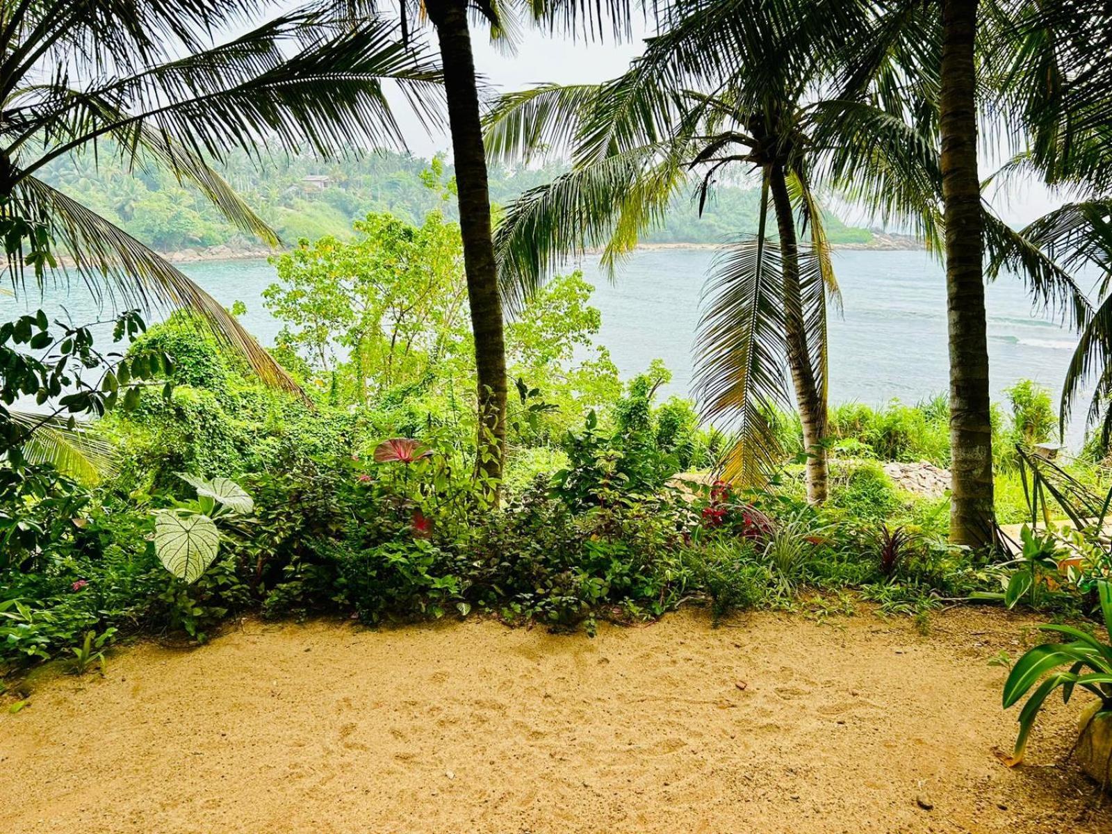 Surf Paradise Tangalle Extérieur photo