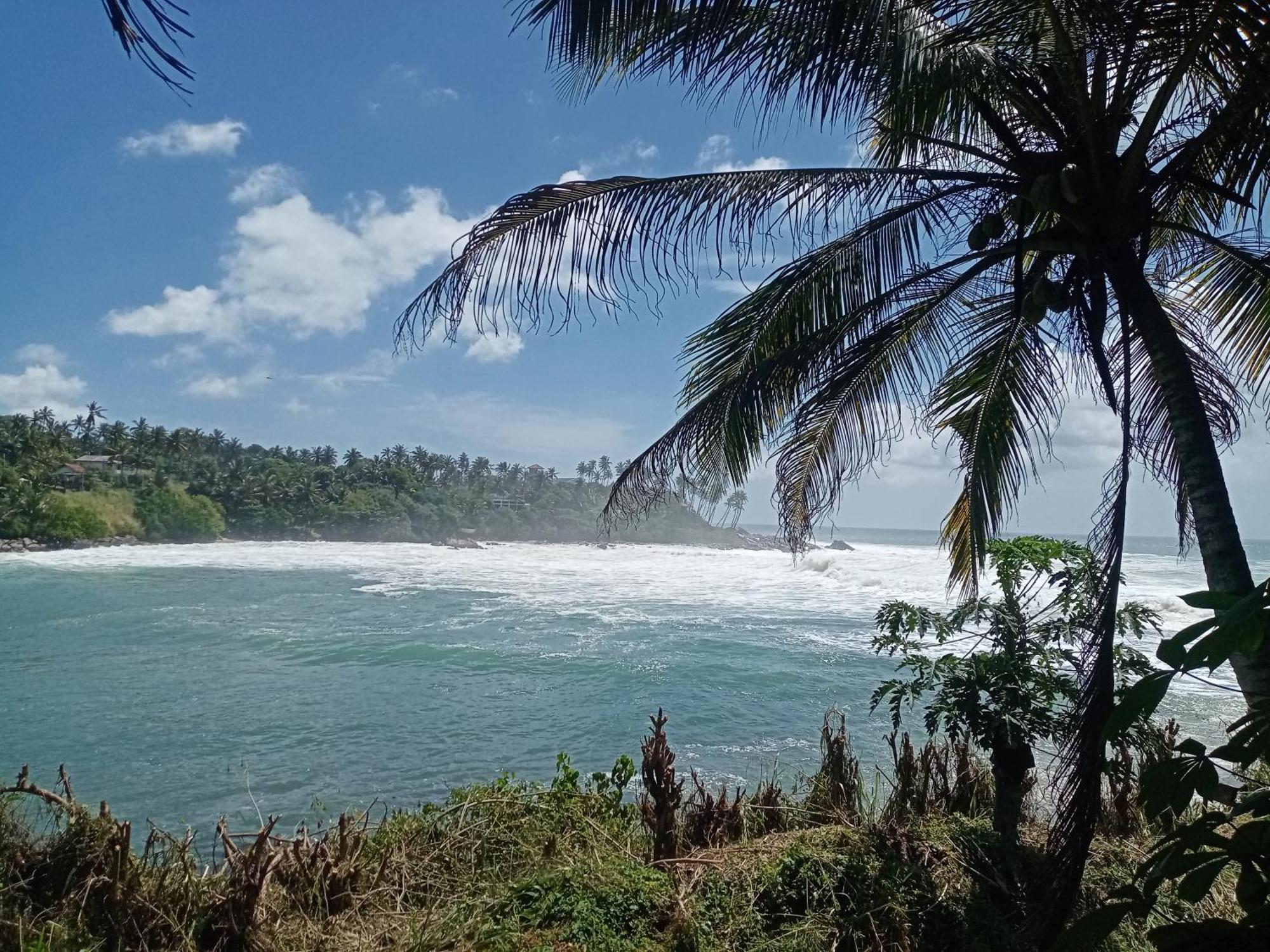 Surf Paradise Tangalle Extérieur photo
